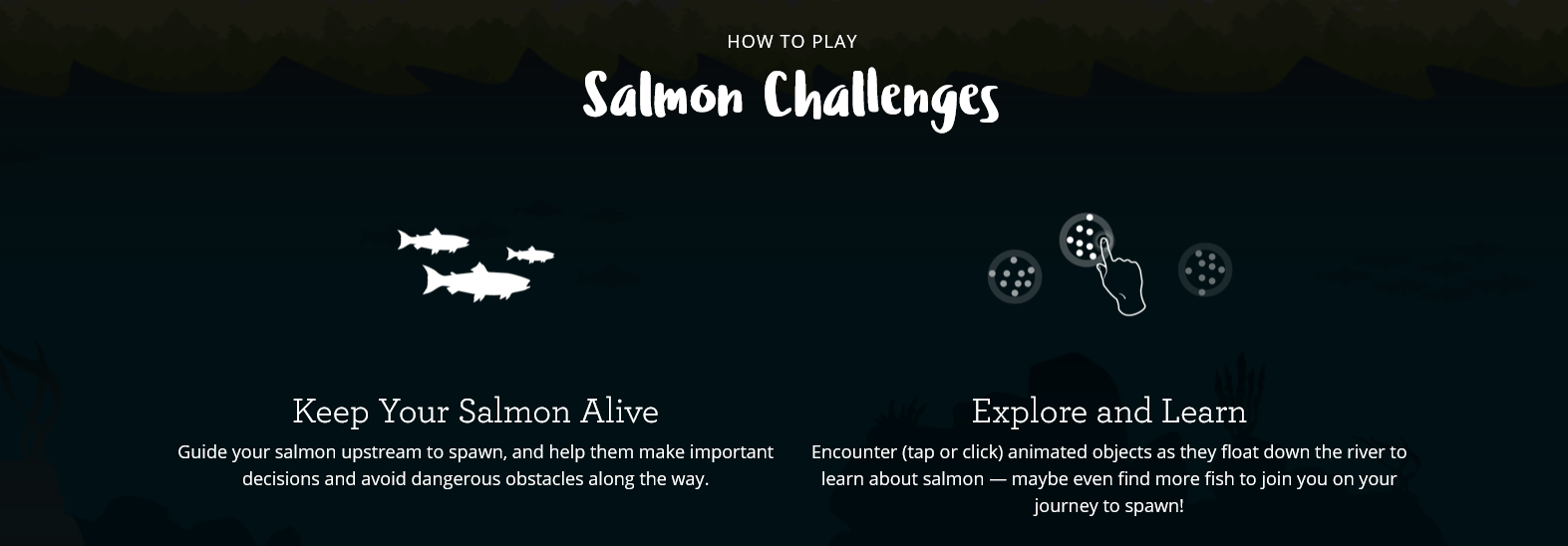 Salmon Challenges