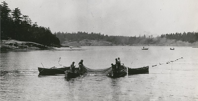 Members of the Mitchell Bay Band reef netting at Stuart Island, Wilma Rimer, Wikicommons