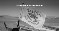 SamishTimelineScreenshot