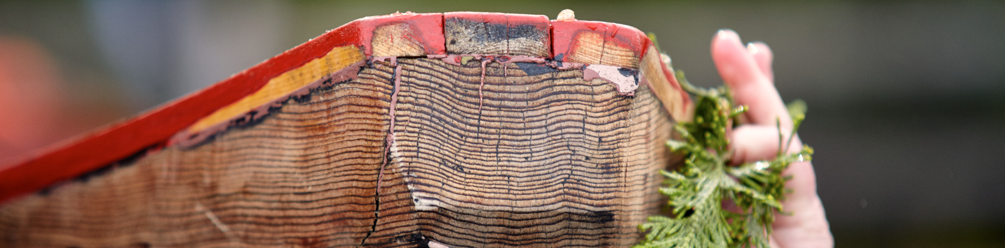 Header - Canoe Wake-up