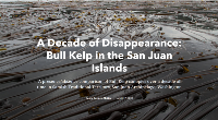 kelp story map