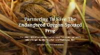 OSF StoryMap