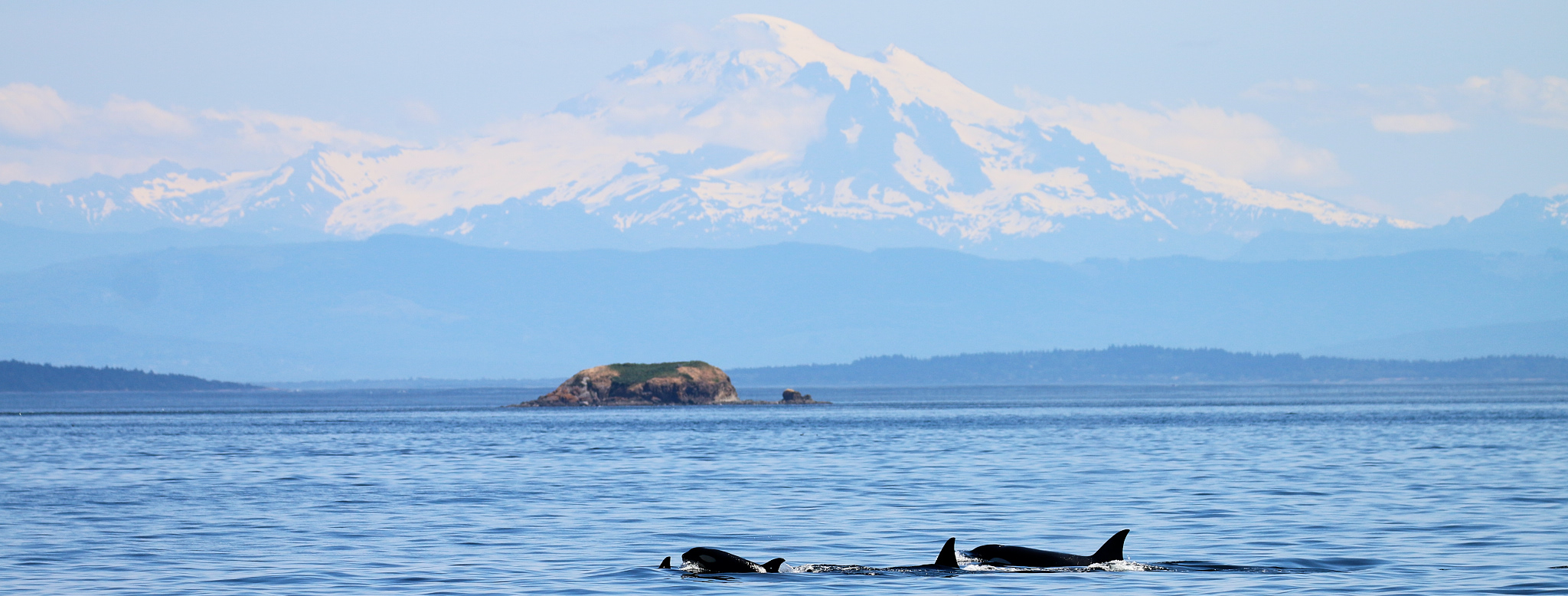 To save the orca slider intranet_1