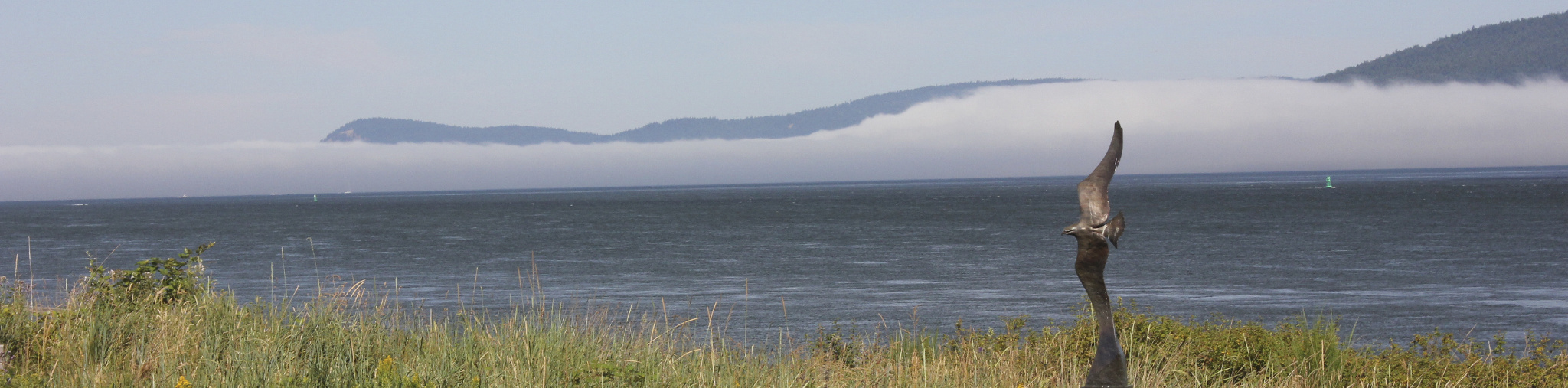 Header - Guemes Canoe Trip