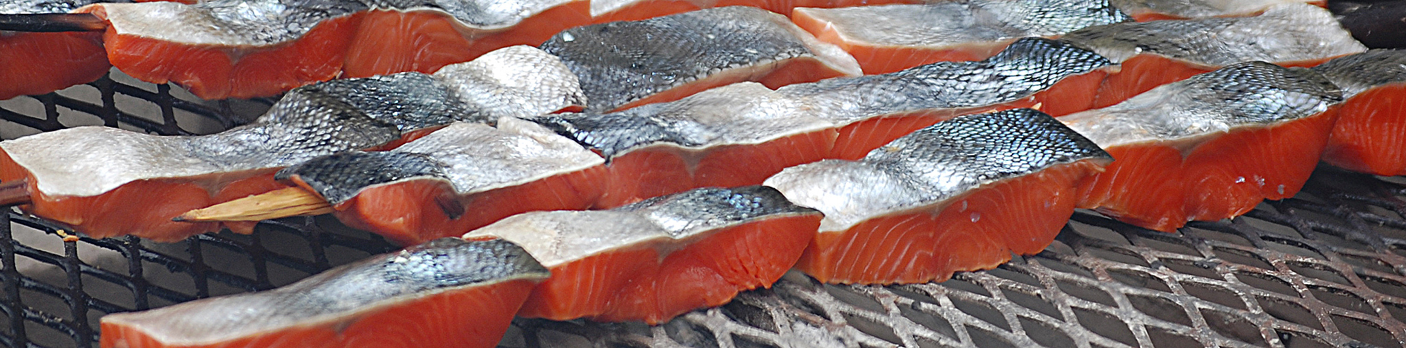 Headers - Salmon