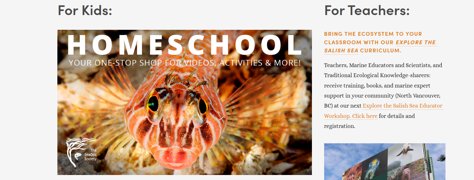 SEAdoc SEAdoc